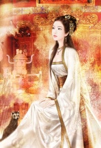 中华国术之风云激荡